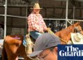 Cowboys, lassos, and nudity: AI startups turn to stunts for attention in a crowded market | US news