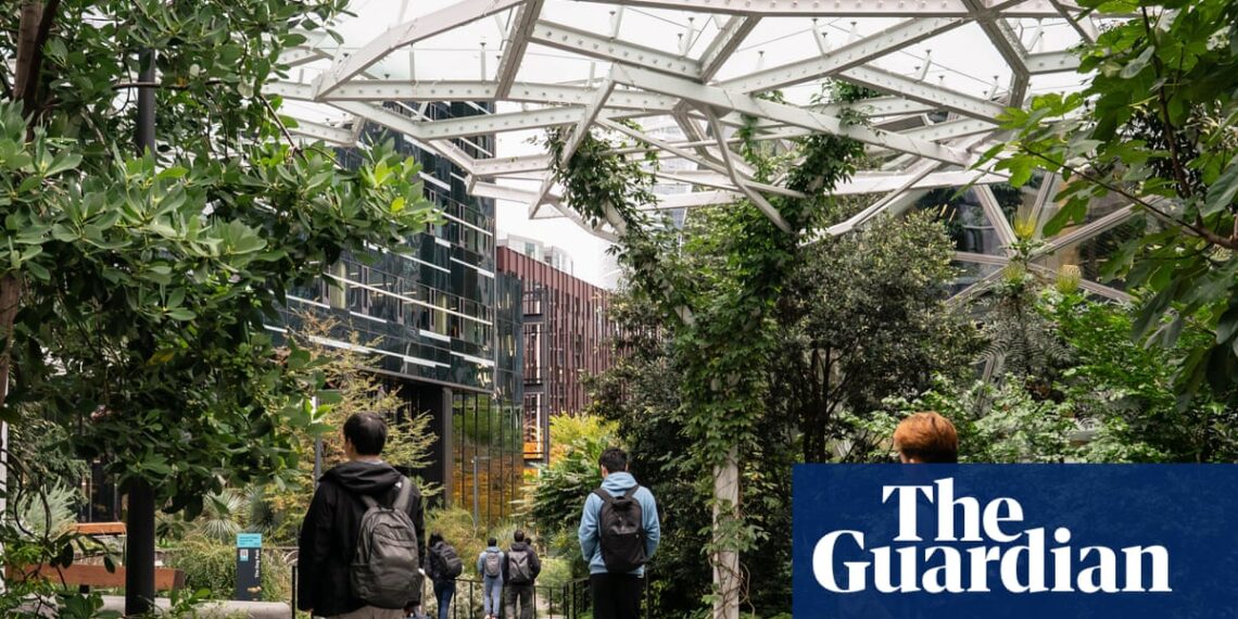 US companies accused of ‘AI washing’ in citing artificial intelligence for job losses | US news