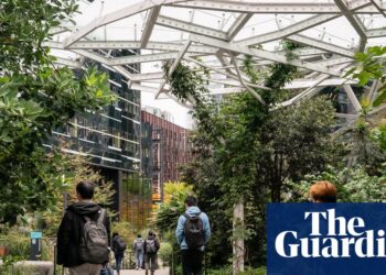 US companies accused of ‘AI washing’ in citing artificial intelligence for job losses | US news