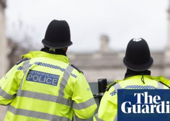 Met police using AI tools supplied by Palantir to flag officer misconduct | Metropolitan police