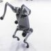 Robot dog: Galgotias University faces backlash for claiming Chinese product as own at India AI summit