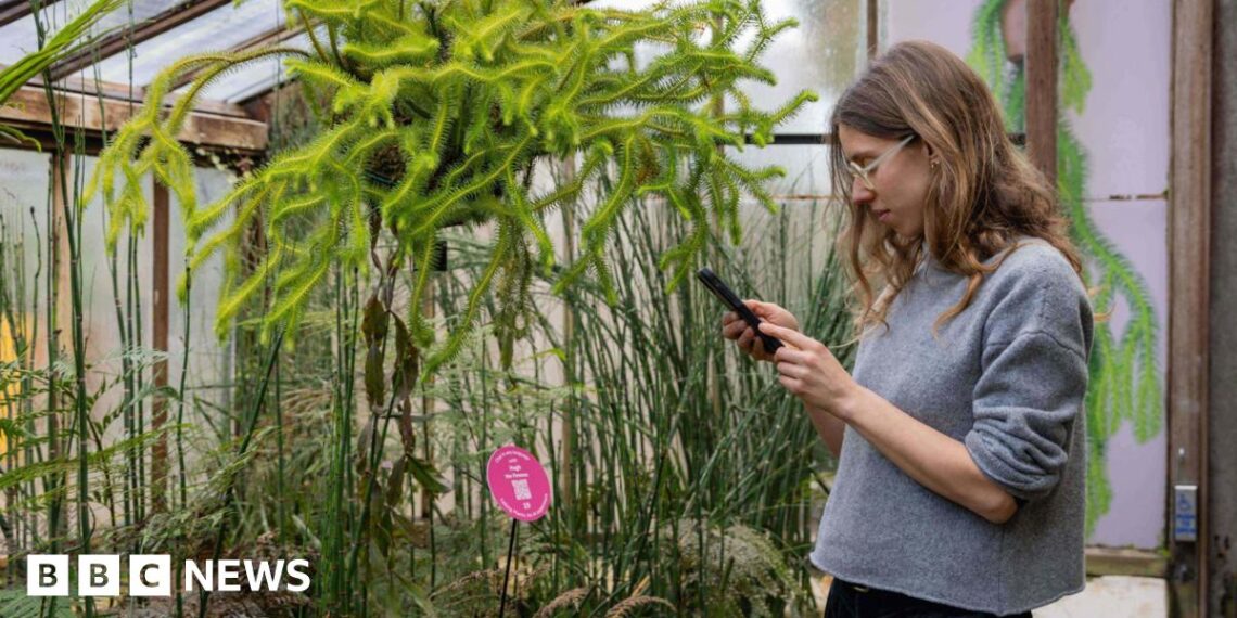 AI lets visitors to Cambridge botanic gardens chat to plants