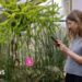 AI lets visitors to Cambridge botanic gardens chat to plants