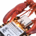 AI Assistant Uses ESP32 | Hackaday
