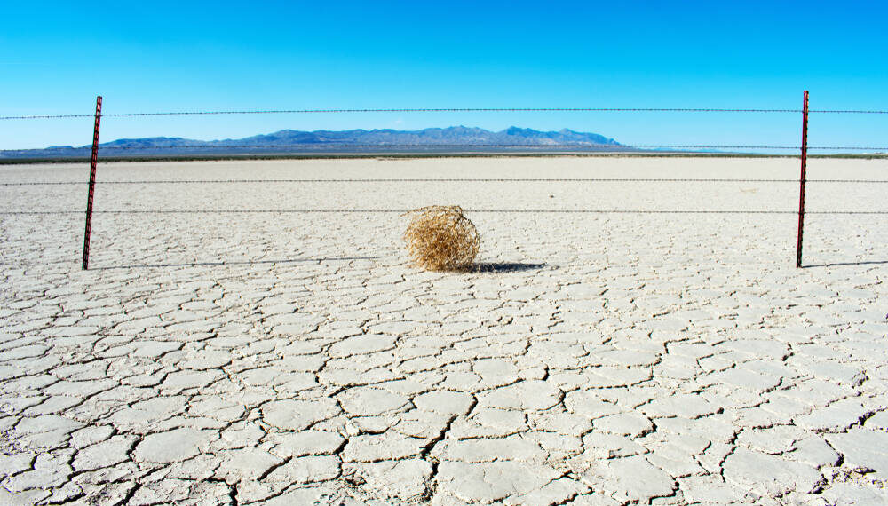 PCs, phones to get more boring, expensive in 2026 • The Register