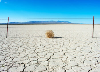 PCs, phones to get more boring, expensive in 2026 • The Register